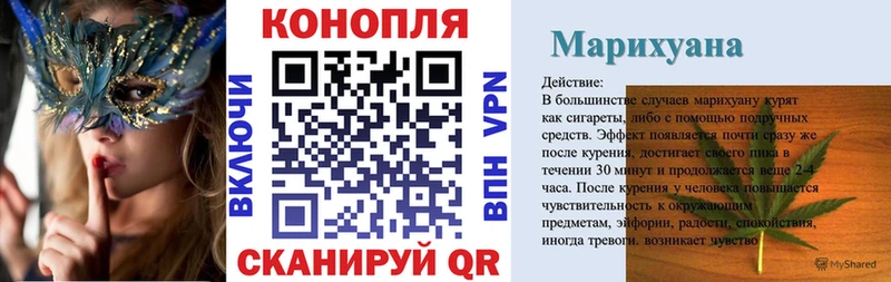 Каннабис конопля Изобильный